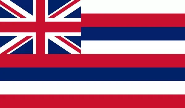 2x3 Hawaii Nylon Flag