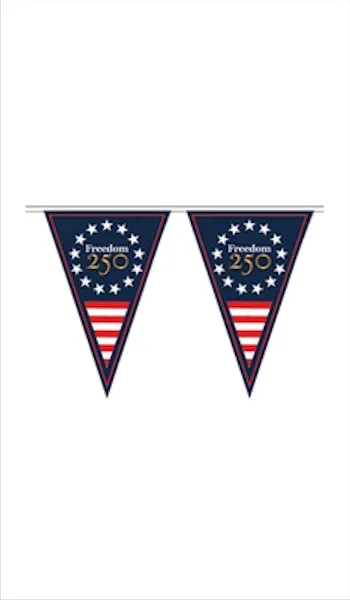 Freedom 250 Pennant