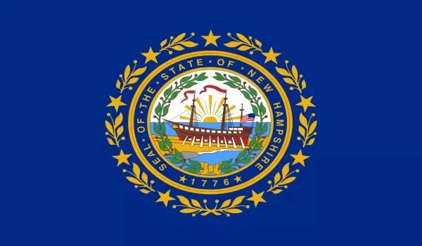 2x3 New Hampshire Nylon Flag