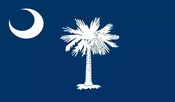 2x3 South Carolina Nylon Flag