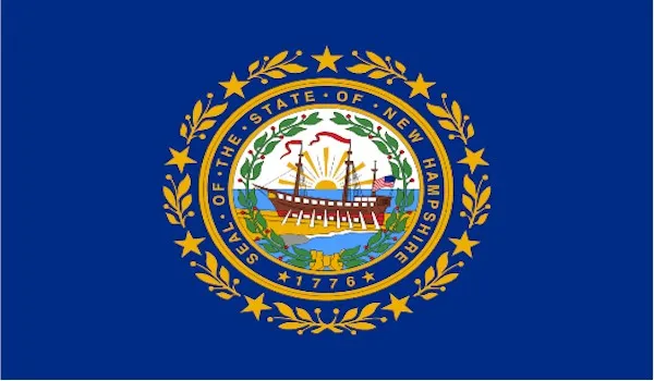 New Hampshire State Flags
